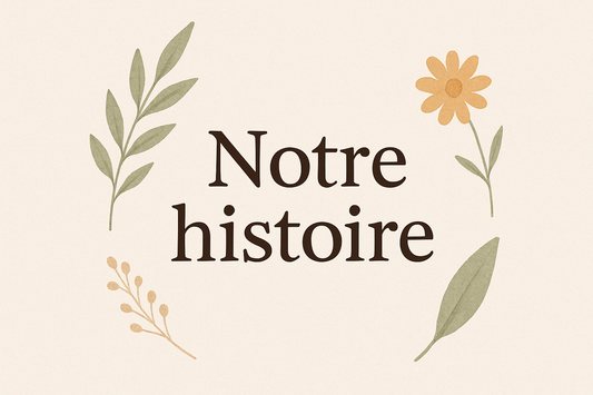 NOTRE HISTOIRE
